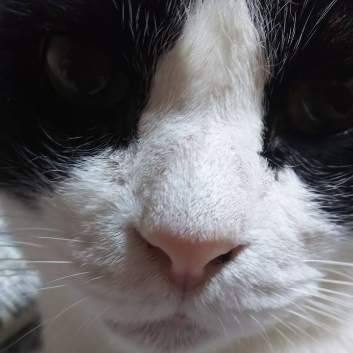 D9d2cd98 fd45 421e 9b4e b271f155e526 1568670206625