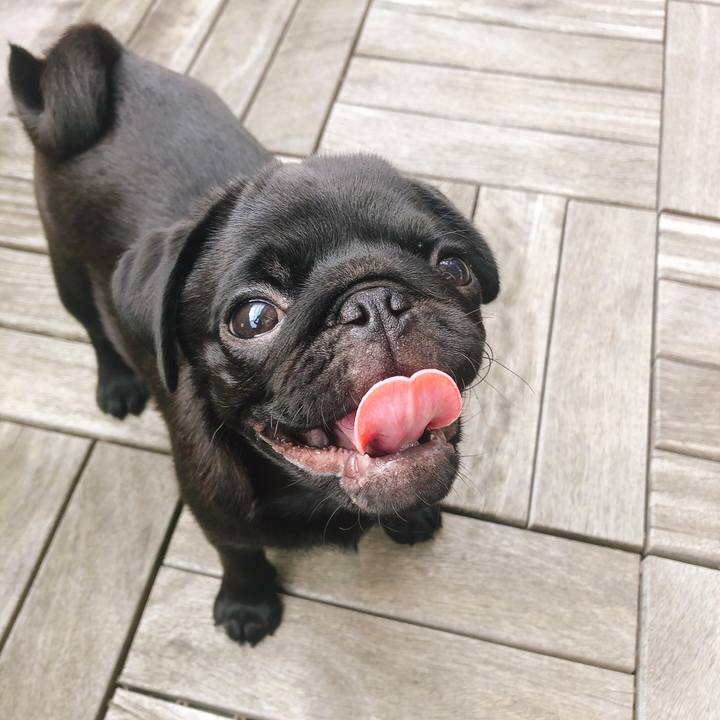 D9d2d078 0d79 4993 b5e9 19c4cd18ce57 1590450170932