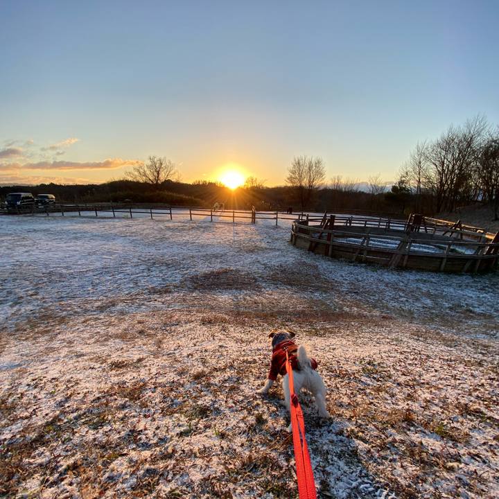 D9d2d09b 138f 4142 b615 e945333b5c2e 1641013910281