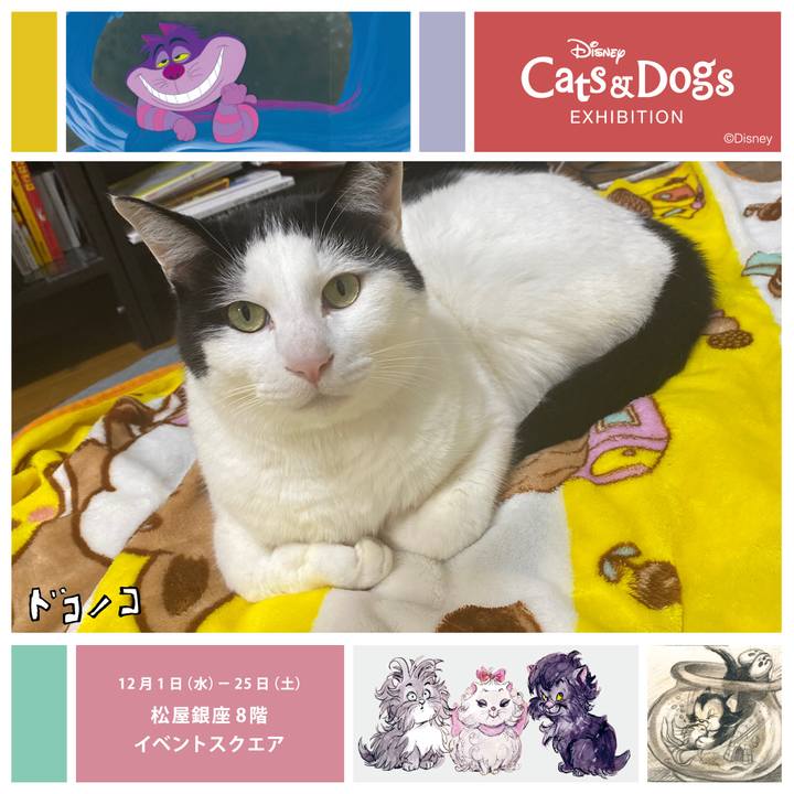 D9d30420 2f56 44b2 85e0 165e7e788839 1638354071649