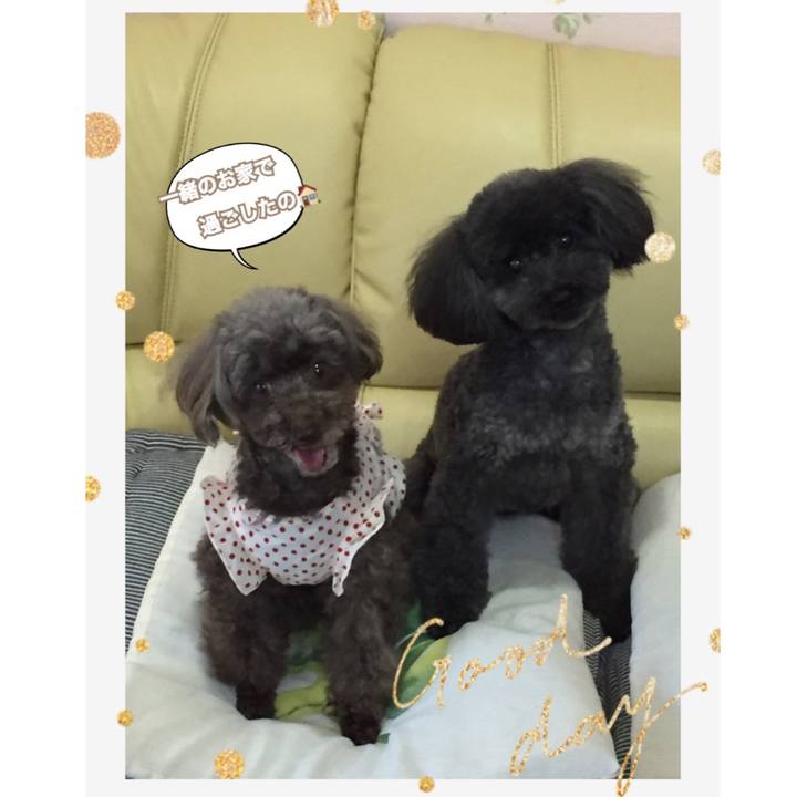 D9d30c99 b5c9 47d3 a08c 88a18f6e7760 1564295492224