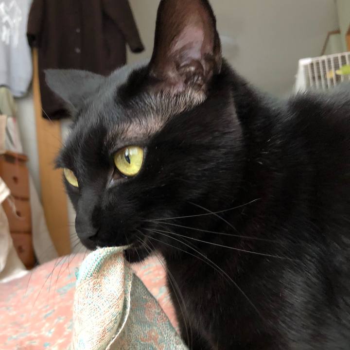 D9d34059 62a6 469c 81c4 57c695a29717 1545442659909