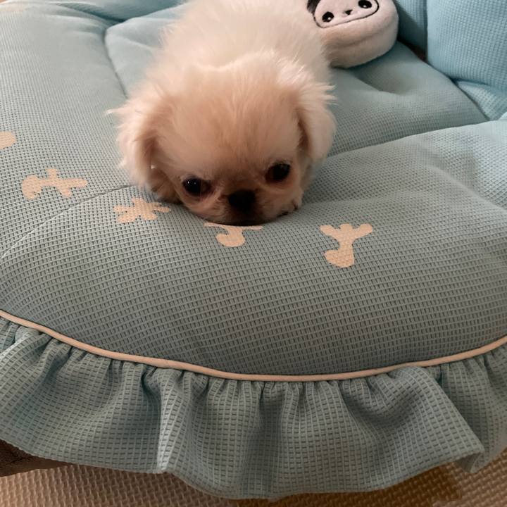 D9d370ff 3323 435c bbad 4a9e57086d32 1629535334601