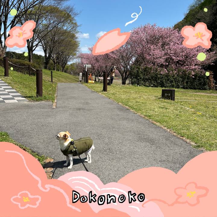 D9d38b2e d1c5 45b6 8216 7e01c475cd7e 1775193562769