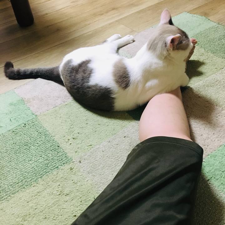 D9d3a993 6268 4409 94bc 7bda1db31b64 1570195997120