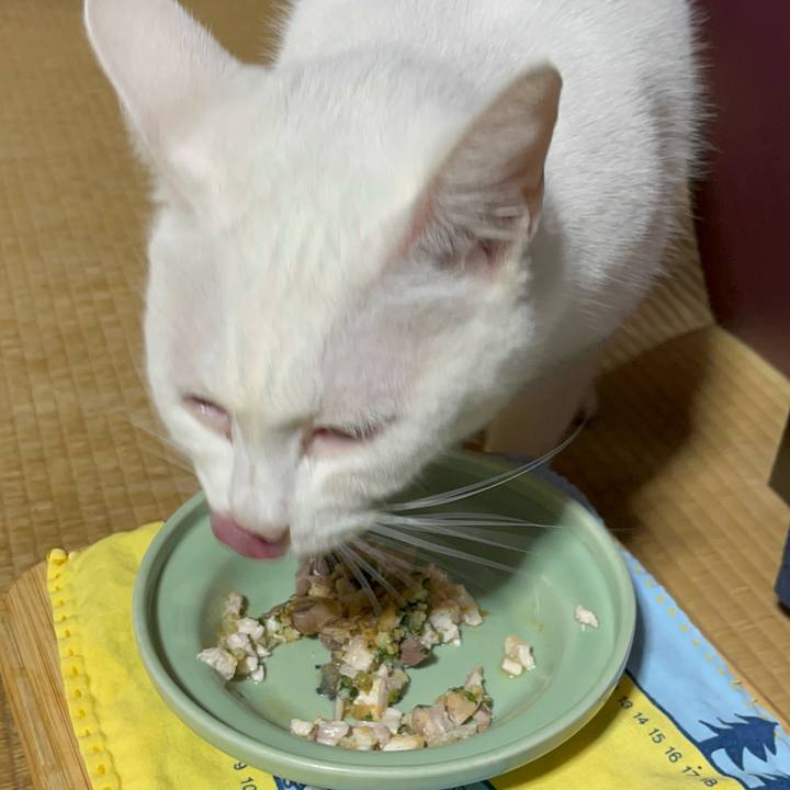 D9d3b35c 619a 4054 9f20 309379fa0831 1762346394649