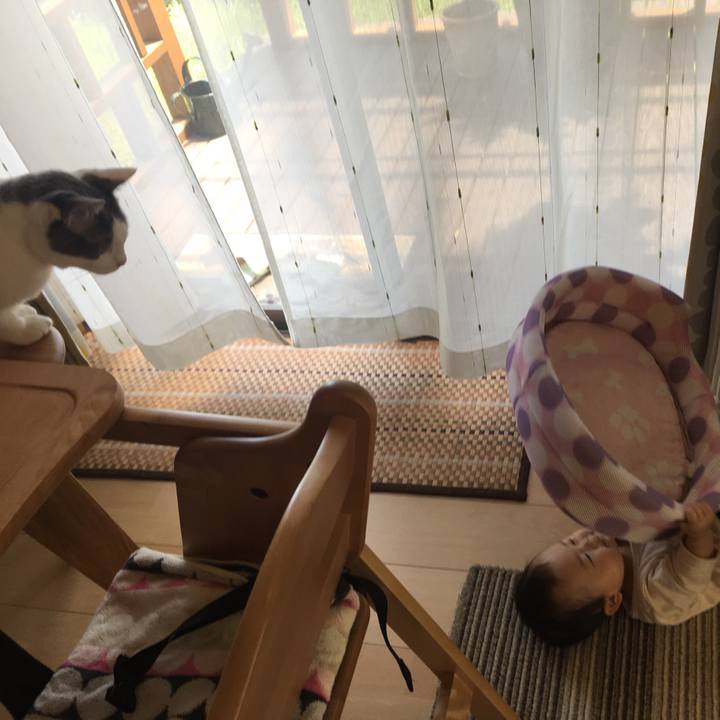 D9d3bd20 32f1 47bc 86a7 cf2df2778d70 1527307702525