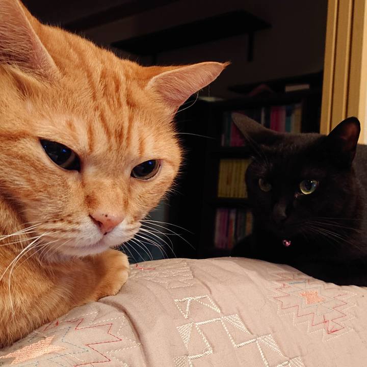 D9d3f8c7 4bbf 43bf 8baa b578436394ac 1538144485128