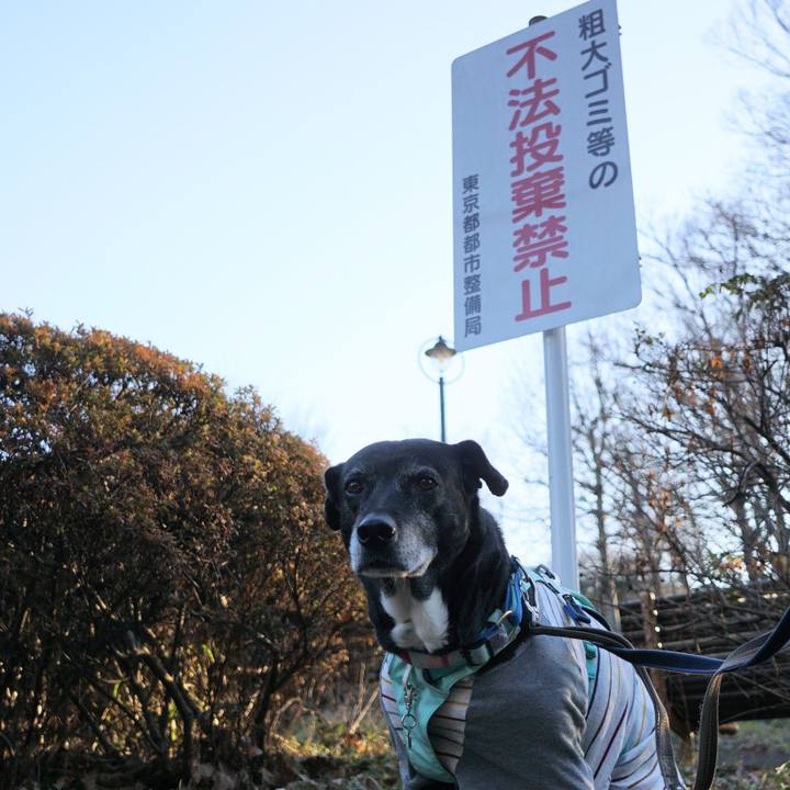 D9d40499 ac38 47cc 97de b8044b6fe194 1769821134187