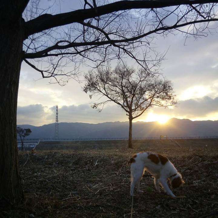 D9d4278a b602 40f7 a0b2 f50dad43c214 1518826838294