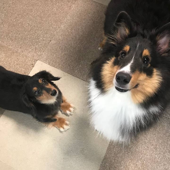 D9d43241 9def 4148 bdd8 1a601efd4e1e 1536270740941