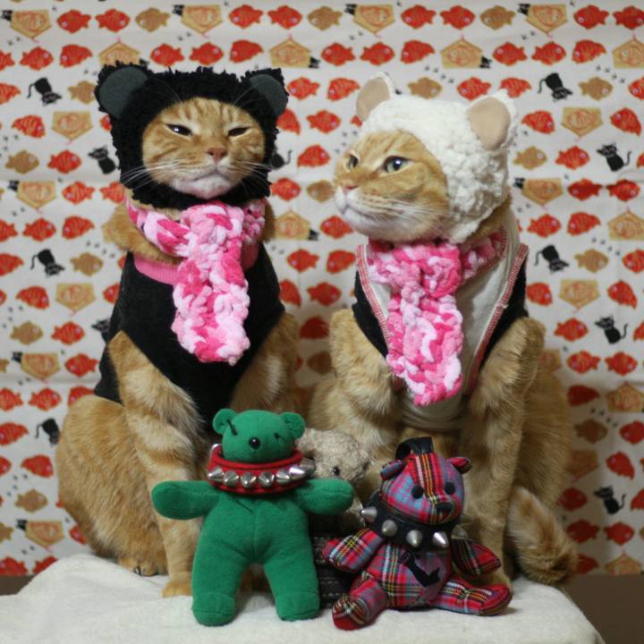 D9d45645 3037 4783 8759 75f354f6cbcc 1514252402199