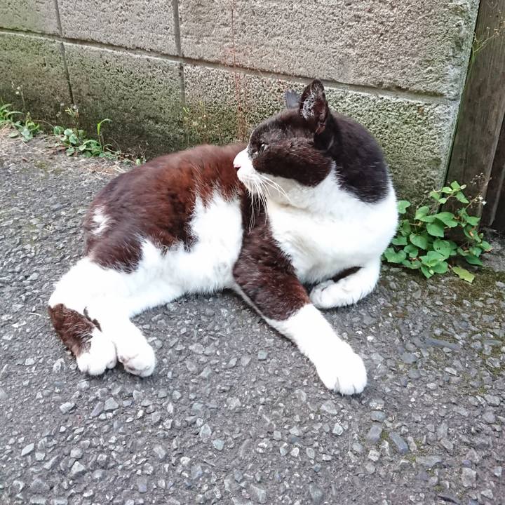 D9d45b2b 8f6a 4dc3 a486 45994890c084 1688040049906