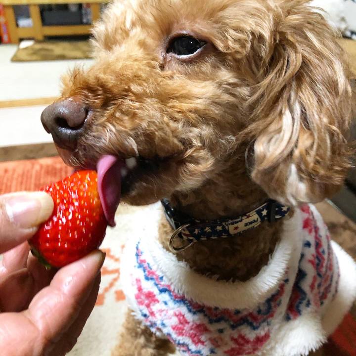 D9d45fe3 2df6 483c 8d1e 298772ad2a60 1611480302647