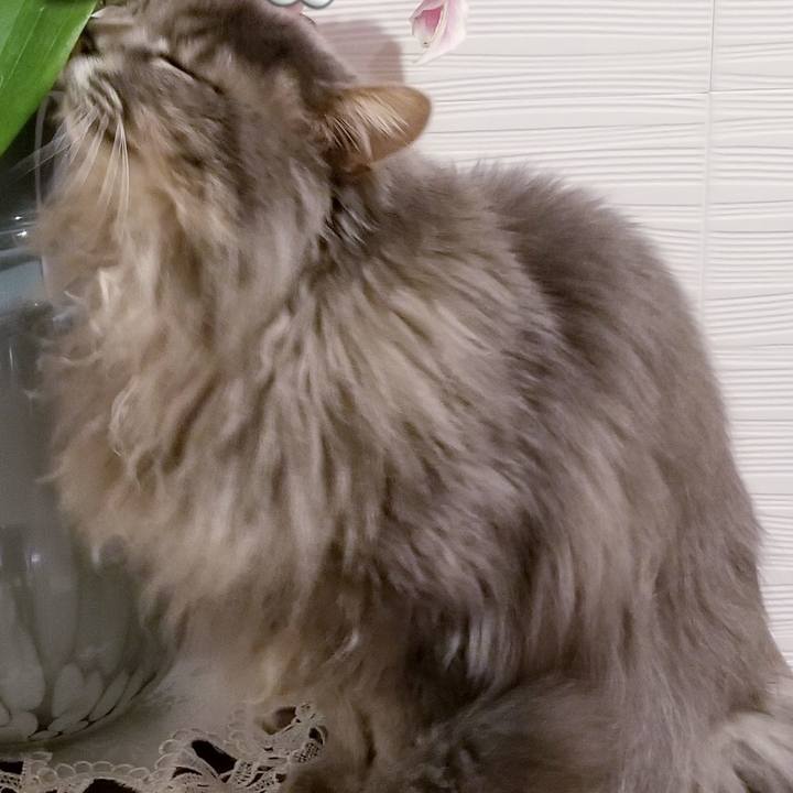 D9d4784d 912e 4bb2 9082 2c0f4bedc48e 1579471332139