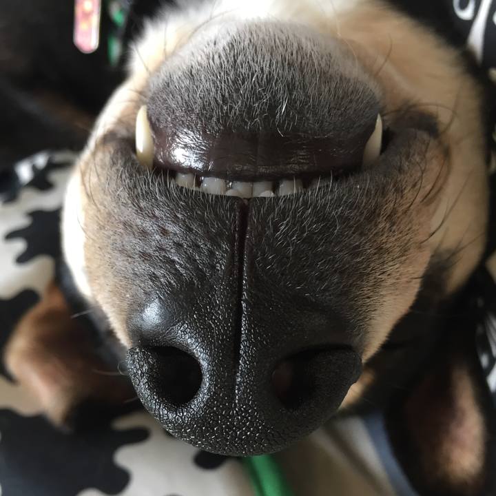 D9d49d5e d11e 4409 9b00 5ee1dcc3f188 1523856243481