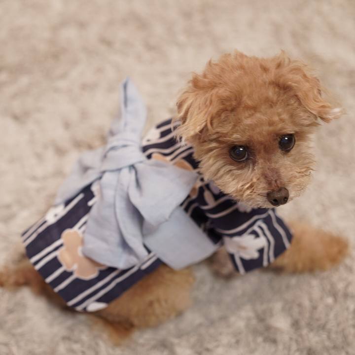 D9d4ac09 6b47 4c71 b200 b4cbf8f08724 1697254998073