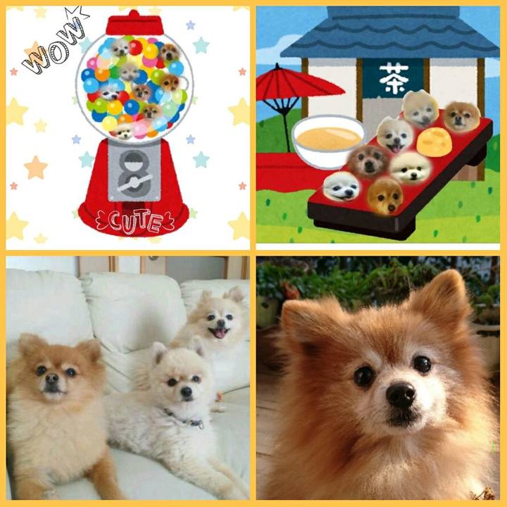 D9d4bf86 d57e 4a5a 97b8 ae7849cf59d3 1519720837462