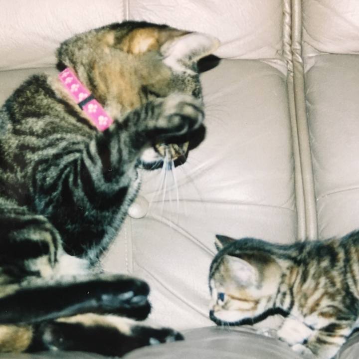 D9d4e273 8e3f 46ff 8f48 3cd57121673d 1524387693676