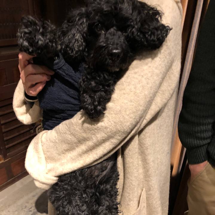 D9d4f8a3 6142 4722 889b c4566c5bf8ff 1577706196917