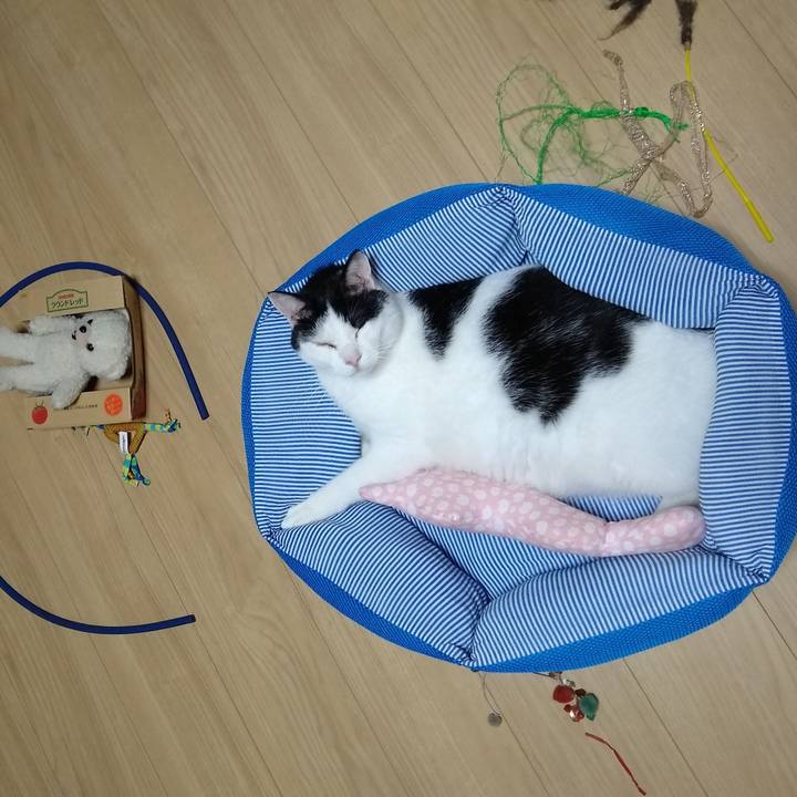 D9d4fe34 f594 49e8 b09f d64c637e3cf9 1561726236112