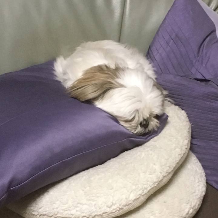 D9d506f7 2ec0 4e36 a584 03f6b1bc3b18 1526995237816