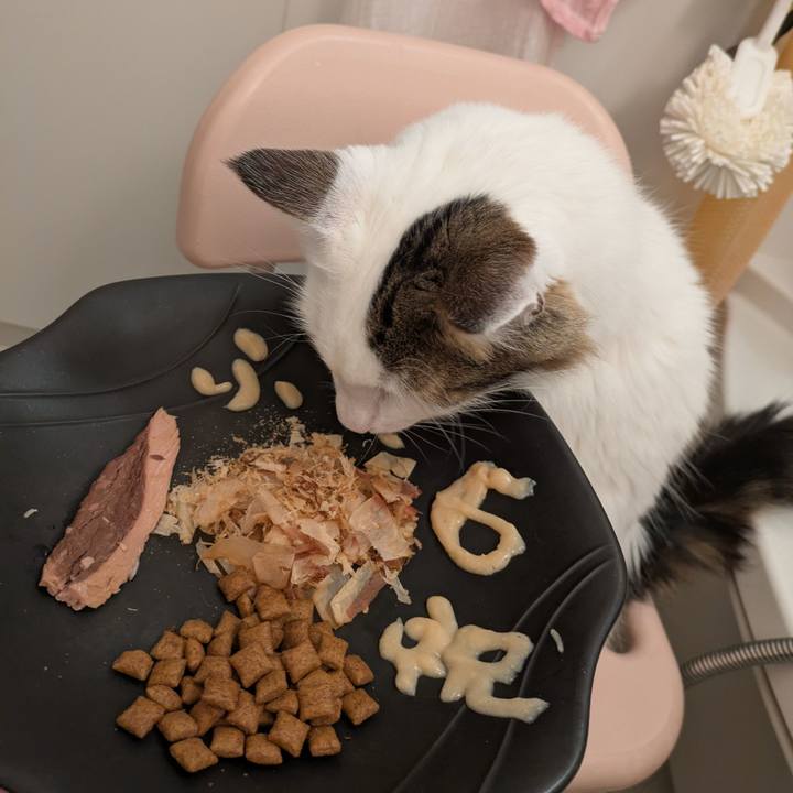 D9d51ca0 d917 422a 91fa 982d14ae5c92 1757328918644