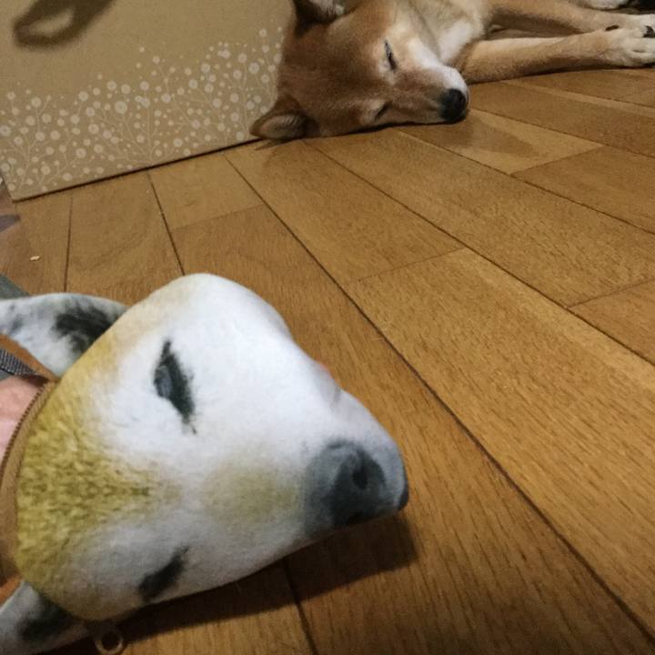 D9d52265 015e 4bac ab98 8ab112679ada 1563454996166