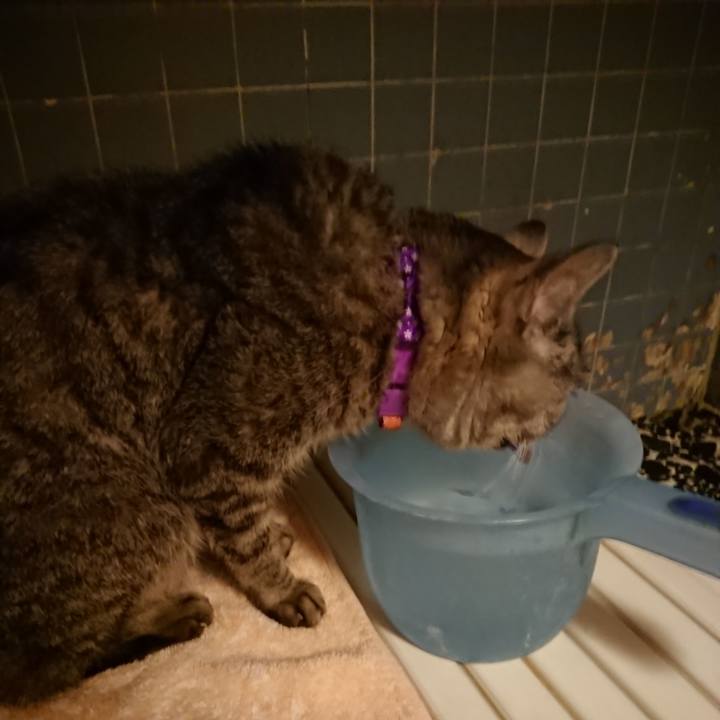 D9d56cba 0c84 4530 98d4 c95c5221f621 1585389055569