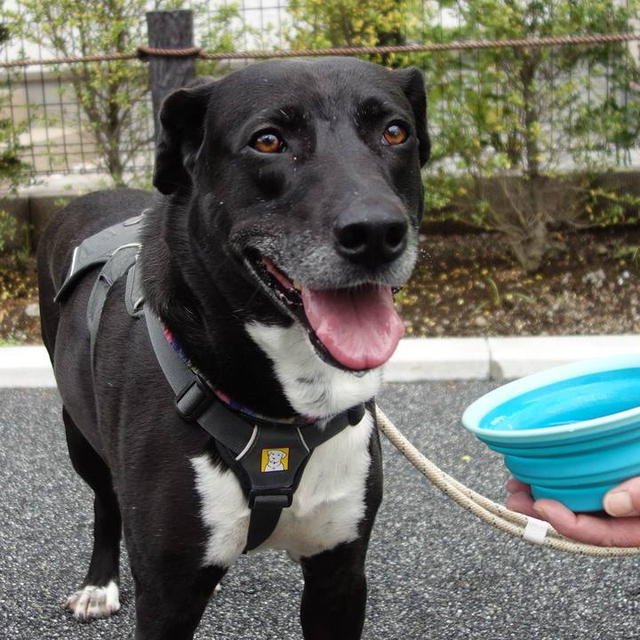 D9d5a9d3 c6e3 4a39 b38c 545cd7034abe 1651453363168