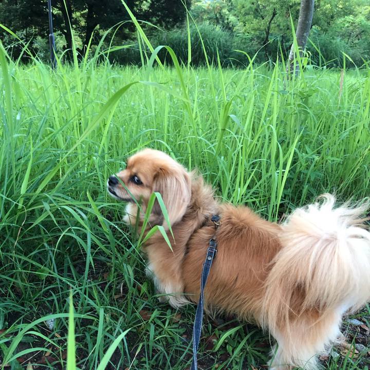 D9d5baf3 a17d 4058 80f2 6c57d0630fff 1563915789778