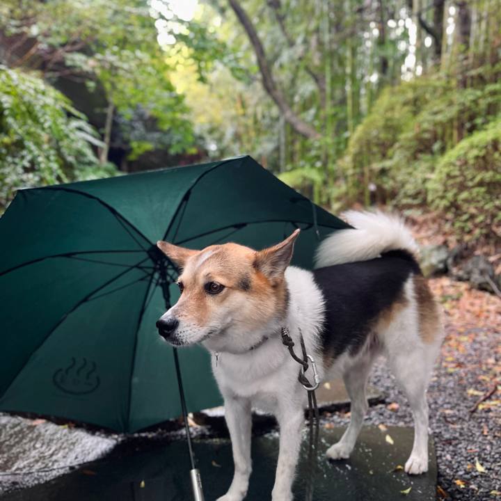 D9d5d770 8649 43dc 810f 8c790d2b3be9 1760571232863