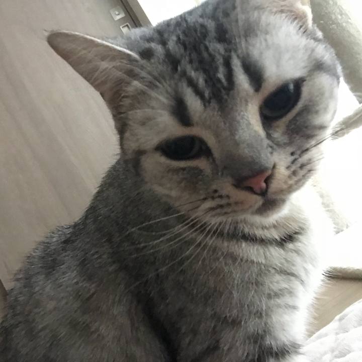 D9d5d7a8 c8fe 477b 9712 71bb575bac11 1514245901409