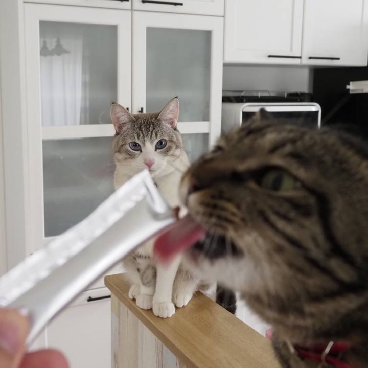 D9d5f99b 07e9 451b a8db 0d40f8152f42 1615709613158