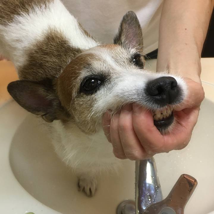 D9d6646d 9800 4fa2 867e c789bcede3ae 1660001416746