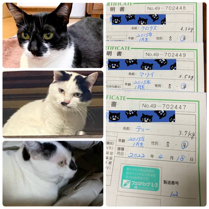 D9d67b24 b60c 419a 88d9 b4b2a9581088 1650272832322