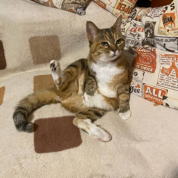 D9d69368 e45d 4981 bcdf 459425dfc1c1 1686379943621