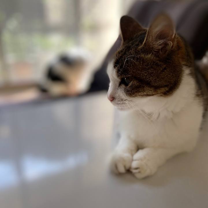 D9d69c3d fc6f 4c66 9945 9671428d3f97 1571745550504