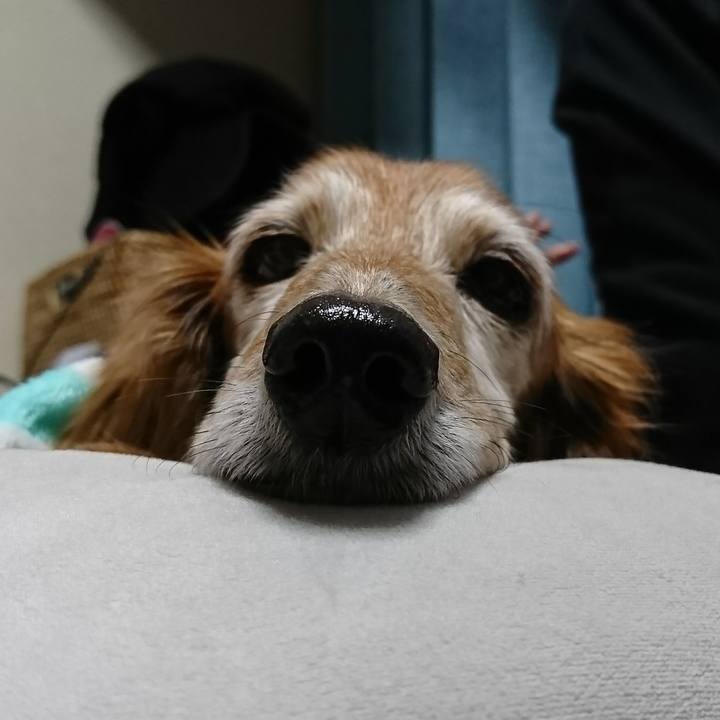 D9d6a793 c08c 4ec3 b5eb 61f8ff15a55a 1517149534960