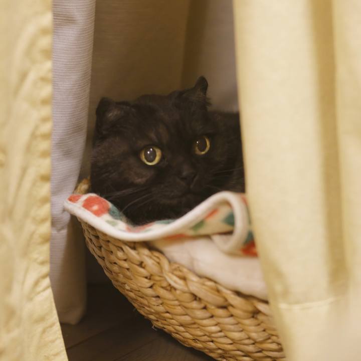 D9d6ba82 eae3 4cff 9249 9b4ae669e025 1603807200141