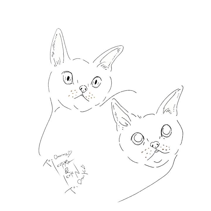 D9d6db18 5339 454a b0a7 bb3d51fbedc9 1631144263630