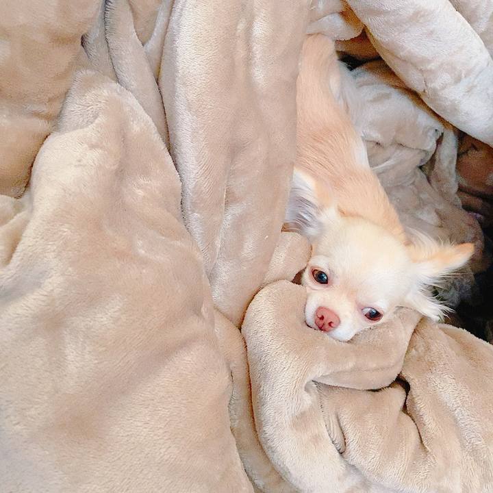 D9d6e84f 30b4 41e5 b40f e802ac1168a9 1622512797545