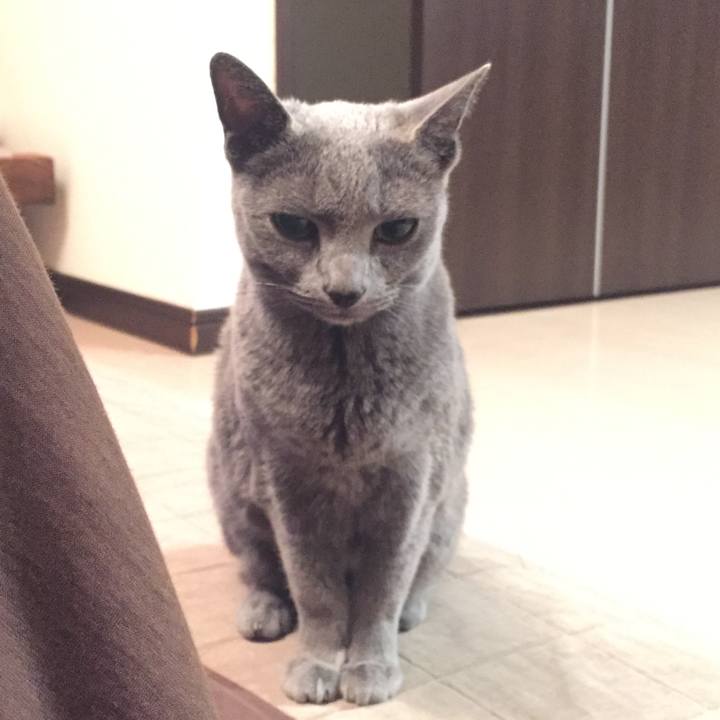 D9d703c6 edfd 47c9 bddc d486d8eadf70 1551397087537