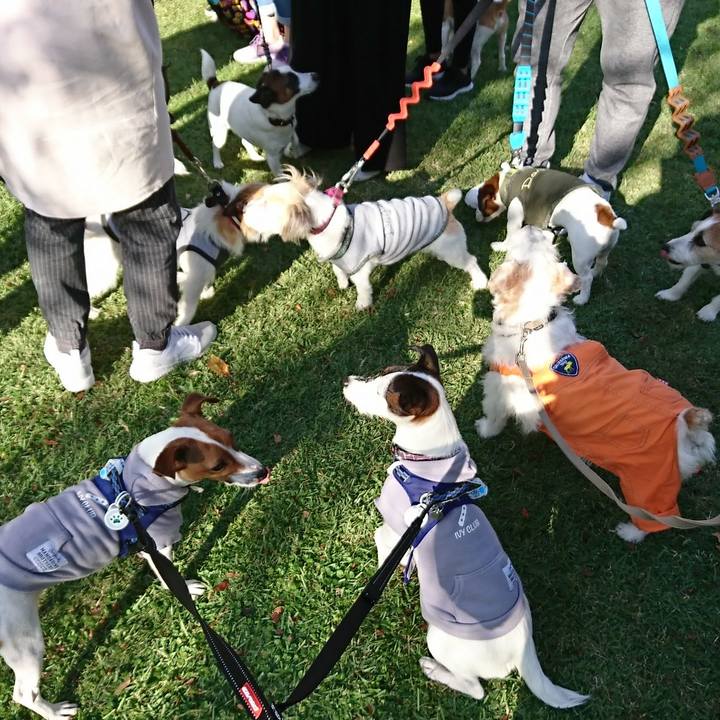 D9d70ef8 6898 4f8c aab4 7686b1be9984 1540111149190