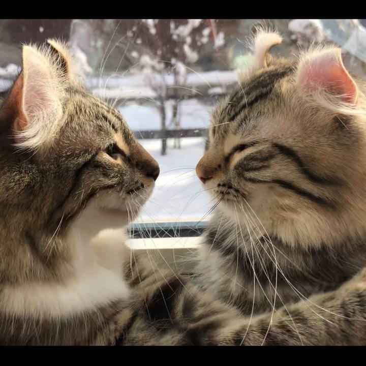 D9d716a8 6c12 410e b0a1 f875b0e05eeb 1542009777211