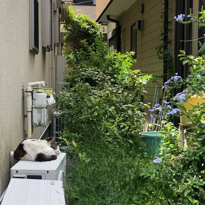 D9d71cab 31f3 4a99 8241 320c5d30ab40 1593519118578