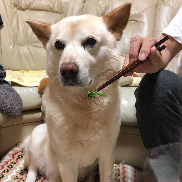 D9d77985 ce42 47cb 87df 4d357f7ade68 1582975666517