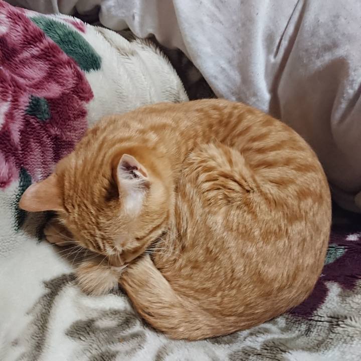 D9d77c54 007e 4fc4 aeba fea25cd0aaef 1644496236406