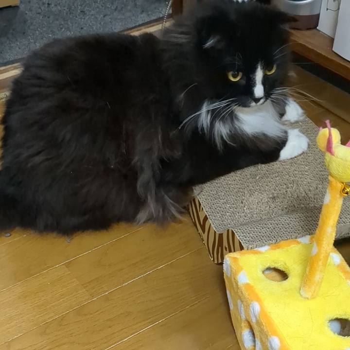 D9d7b0bc 5b7e 4c76 ad95 febf15f1c6c3 1685263796220