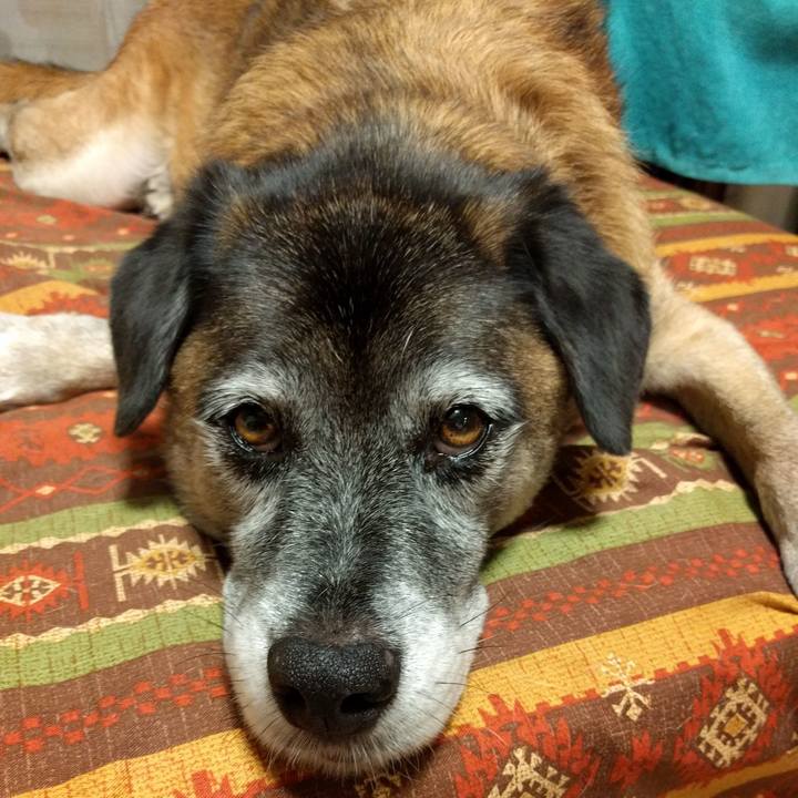 D9d7f780 e0de 4ac5 9269 050cbf9fb016 1507806549662